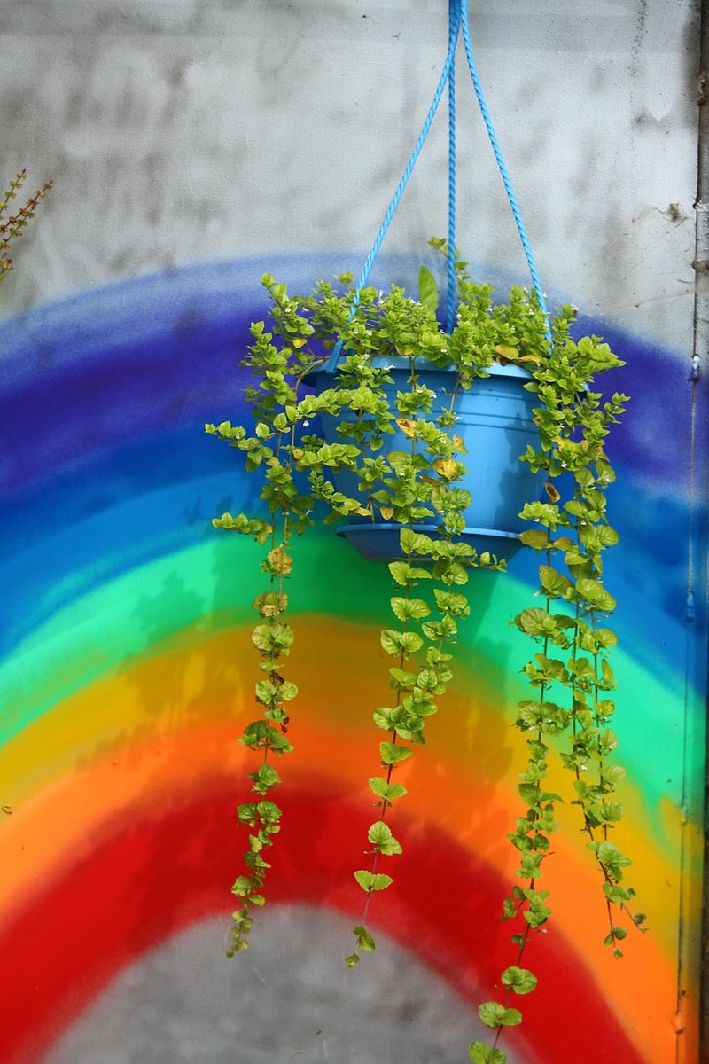 Hanging herb gardens