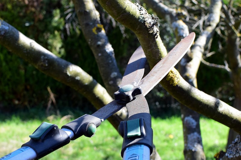 Pruning tips