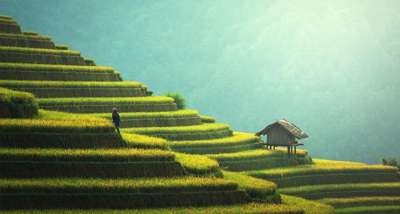 Sustainable gardening